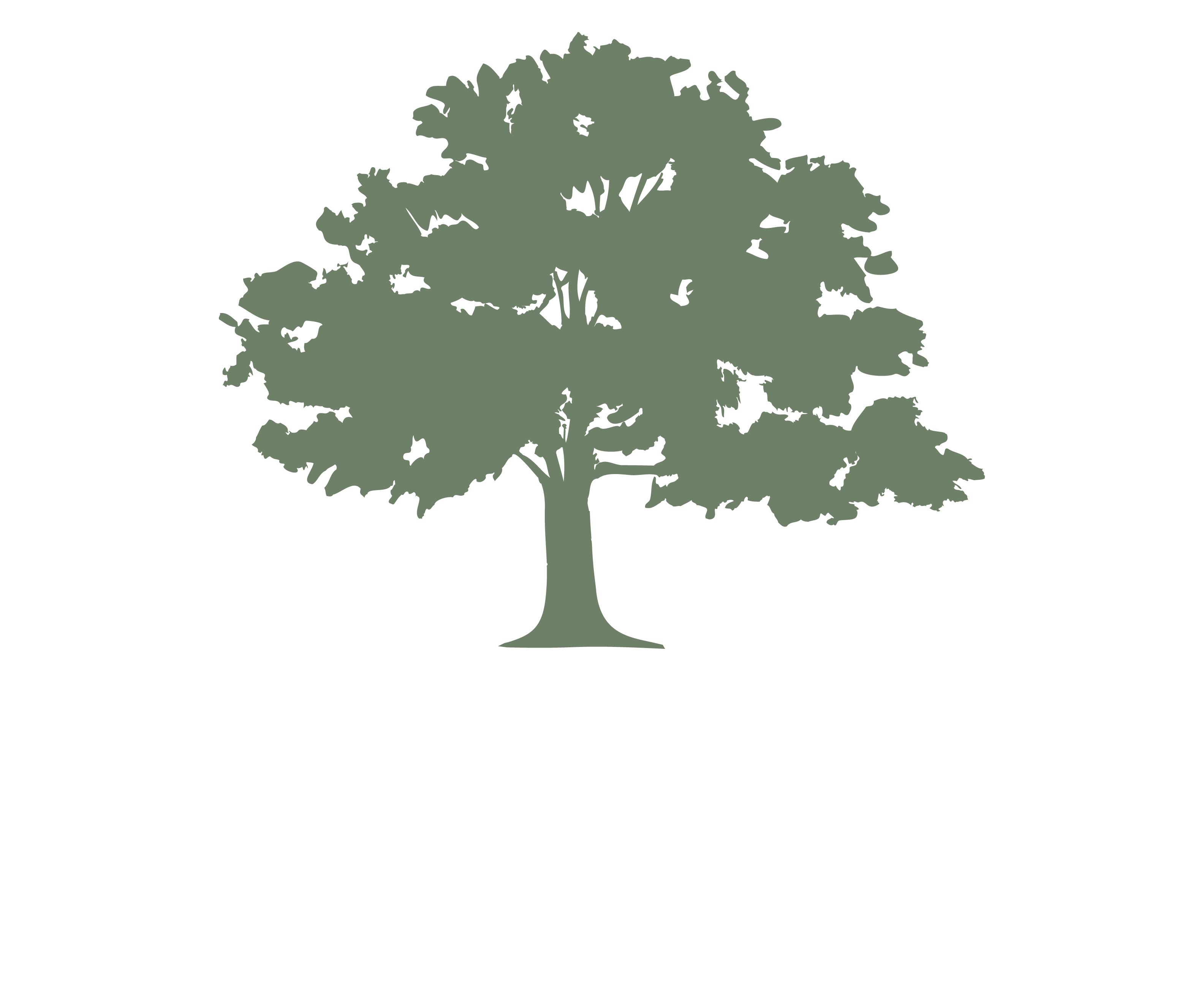 a graphic of a tree with the words salem oaks and mcdonalds